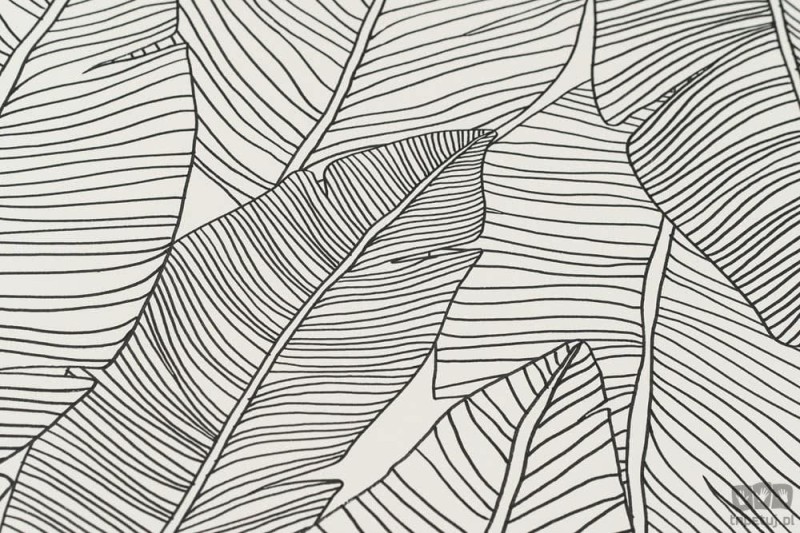 Tapeta czarno-biała na flizelinie tropikalne liście