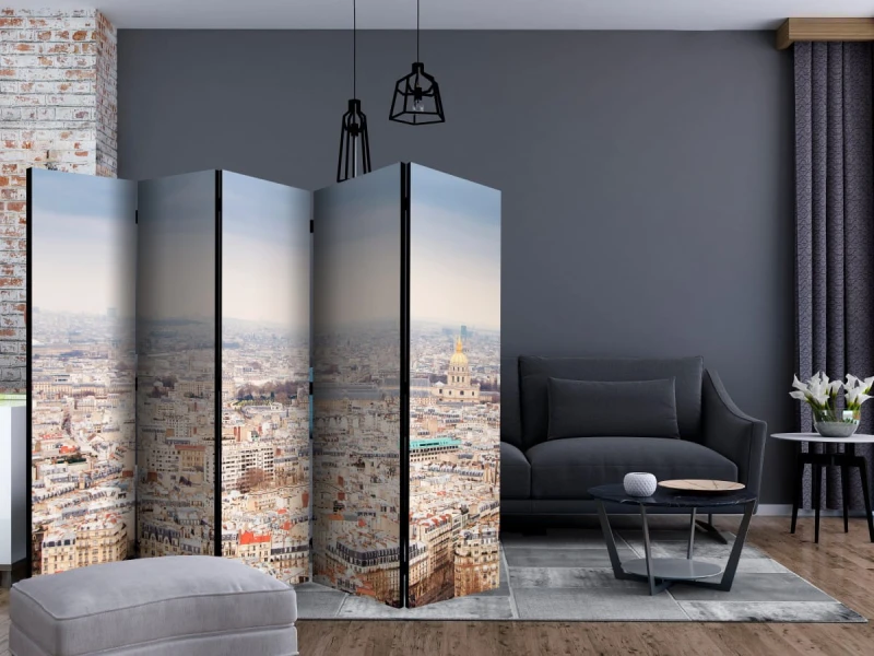 Parawan 5-częściowy - Paryskie uliczki II [Room Dividers]