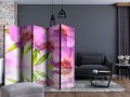 Parawan 5-częściowy - Orchidea spa II [Room Dividers]