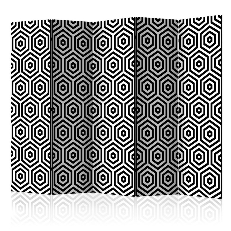 Parawan 5-częściowy - Czarno-biała hipnoza II [Room Dividers]