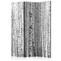 Parawan 3-częściowy - Brzozowy las [Room Dividers]