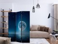 Parawan 3-częściowy - Księżycowa noc [Room Dividers]