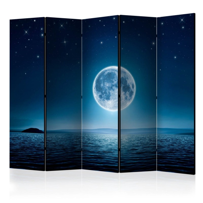 Parawan 5-częściowy - Księżycowa noc II [Room Dividers]