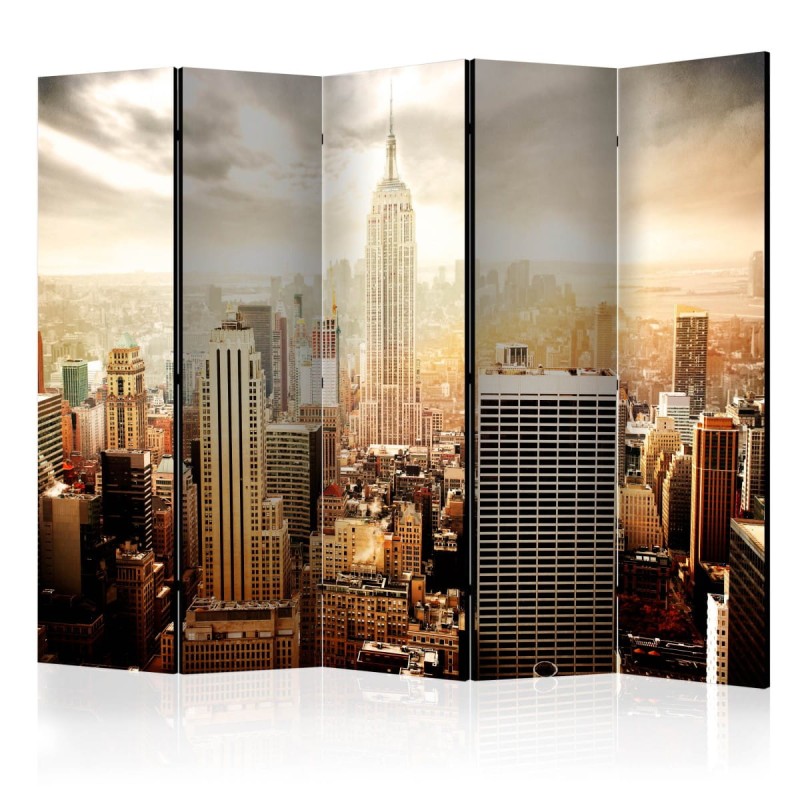 Parawan 5-częściowy - Uczesane wiatrem II [Room Dividers]