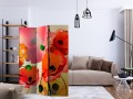 Parawan 3-częściowy - Aksamitne maki [Room Dividers]