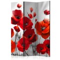 Parawan 3-częściowy - Maki w blasku księżyca [Room Dividers]