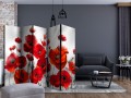 Parawan 5-częściowy - Maki w blasku księżyca II [Room Dividers]