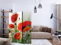 Parawan 3-częściowy - Country poppies [Room Dividers]