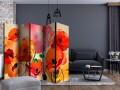 Parawan 5-częściowy - Aksamitne maki II [Room Dividers]