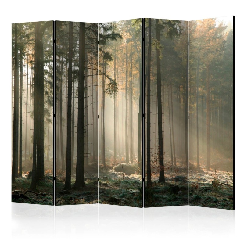 Parawan 5-częściowy - Foggy November morning II [Room Dividers]