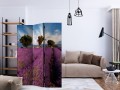 Parawan 3-częściowy - Lavender field in Provence, France [Room Dividers]