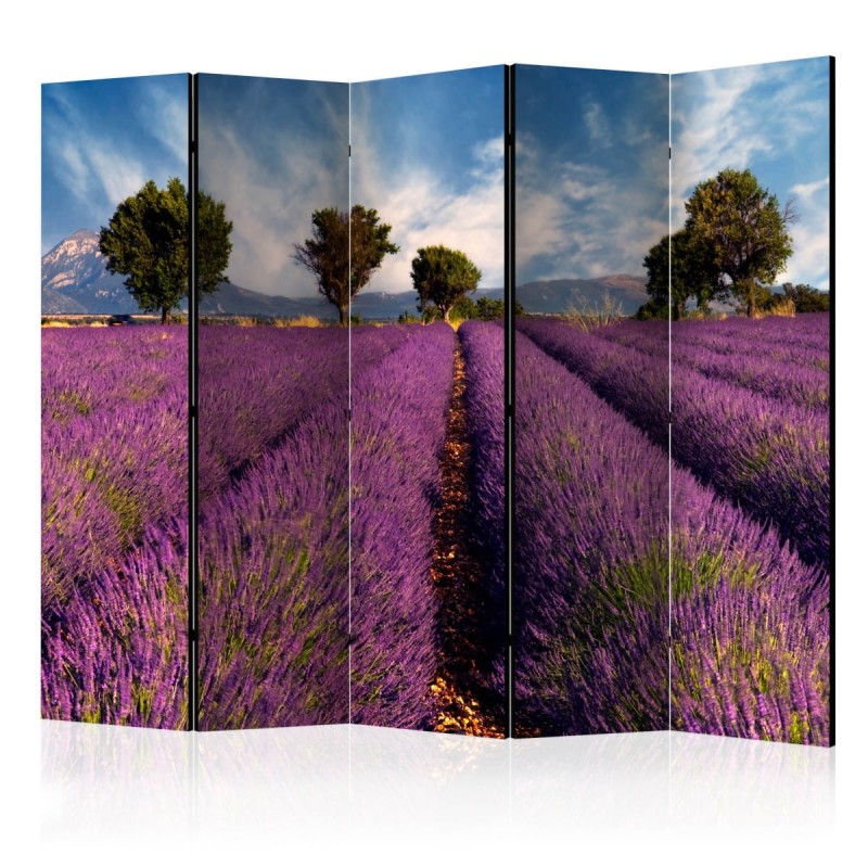 Parawan 5-częściowy - Lavender field in Provence, France II [Room Dividers]