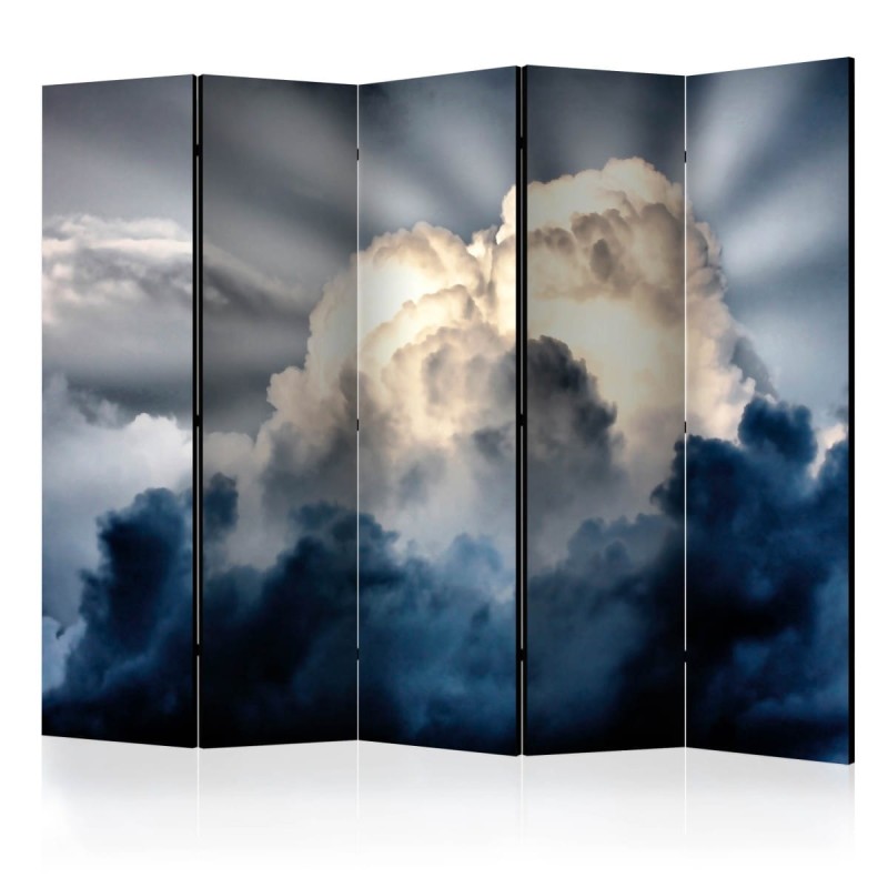 Parawan 5-częściowy - Promienie na niebie II [Room Dividers]