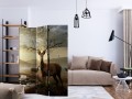 Parawan 3-częściowy - Jelenie nad górskim potokiem [Room Dividers]