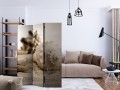 Parawan 3-częściowy - Plaża i muszelka [Room Dividers]