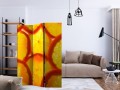 Parawan 3-częściowy - Plasterki pomarańczy [Room Dividers]