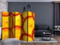 Parawan 5-częściowy - Plasterki pomarańczy II [Room Dividers]