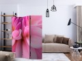 Parawan 3-częściowy - Kwiatowe płatki - dalia [Room Dividers]