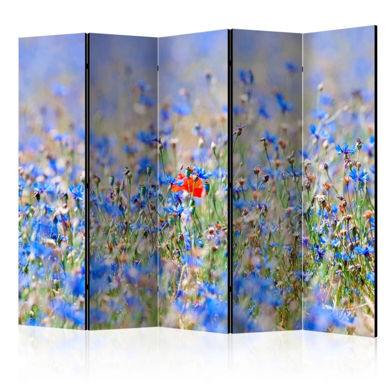 Parawan 5-częściowy - Łąka w kolorze nieba - chabry II [Room Dividers]