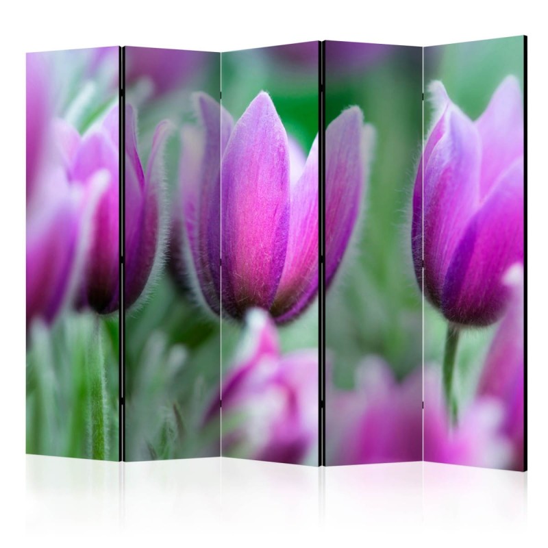 Parawan 5-częściowy - Fioletowe wiosenne tulipany II [Room Dividers]