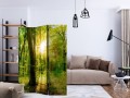 Parawan 3-częściowy - Promienie lasu [Room Dividers]