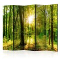 Parawan 5-częściowy - Promienie lasu II [Room Dividers]
