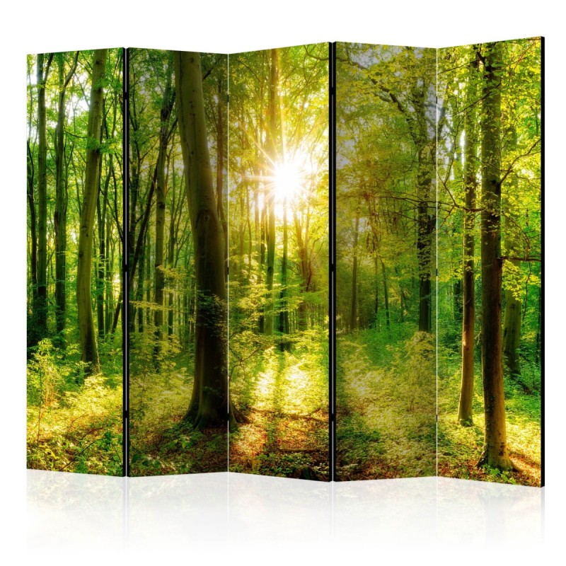 Parawan 5-częściowy - Promienie lasu II [Room Dividers]