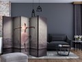 Parawan 5-częściowy - Balet - poezja bez słów II [Room Dividers]