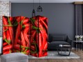 Parawan 5-częściowy - papryka chili - tło II [Room Dividers]