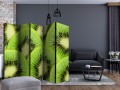 Parawan 5-częściowy - Plasterki kiwi II [Room Dividers]