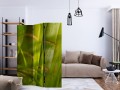 Parawan 3-częściowy - bambus - natura zen [Room Dividers]