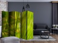 Parawan 5-częściowy - bambus - natura zen II [Room Dividers]