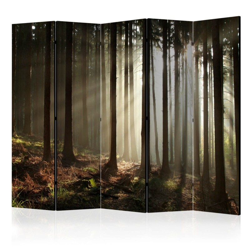 Parawan 5-częściowy - Las iglasty - poranna mgła II [Room Dividers]