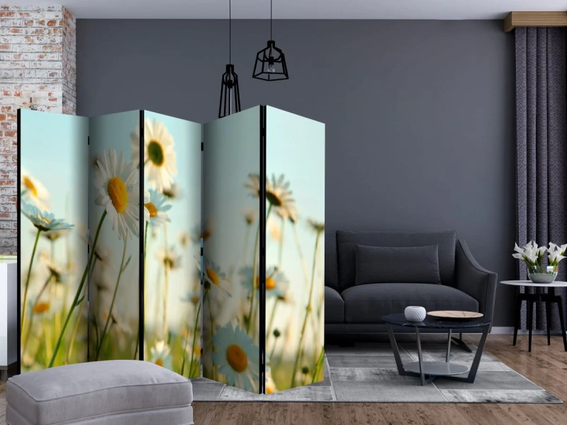 Parawan 5-częściowy - Stokrotki - wiosenna łąka II [Room Dividers]