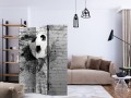 Parawan 3-częściowy - Dynamika futbolu [Room Dividers]