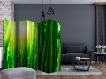 Parawan 5-częściowy - Słońce i bambus II [Room Dividers]
