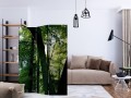 Parawan 3-częściowy - Wiosna w parku [Room Dividers]
