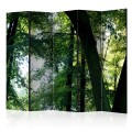 Parawan 5-częściowy - Wiosna w parku II [Room Dividers]