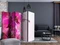Parawan 5-częściowy - Różowa orchidea II [Room Dividers]