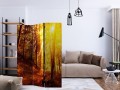Parawan 3-częściowy - Jesienny spacer [Room Dividers]