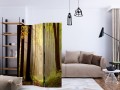 Parawan 3-częściowy - Mysterious forest path [Room Dividers]