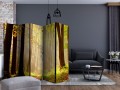 Parawan 5-częściowy - Mysterious forest path II [Room Dividers]
