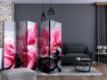 Parawan 5-częściowy - Kwiaty orchidei i kamienie zen II [Room Dividers]