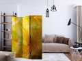 Parawan 3-częściowy - Delikatne puszki dmuchawca [Room Dividers]
