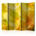Parawan 5-częściowy - Delikatne puszki dmuchawca II [Room Dividers]