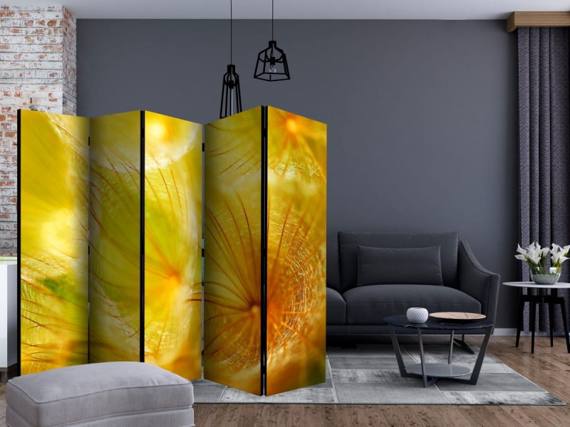 Parawan 5-częściowy - Delikatne puszki dmuchawca II [Room Dividers]