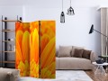 Parawan 3-częściowy - Żółta gerbera [Room Dividers]