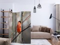 Parawan 3-częściowy - Bullfinch in the forest [Room Dividers]
