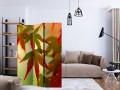 Parawan 3-częściowy - Kolorowe liście [Room Dividers]