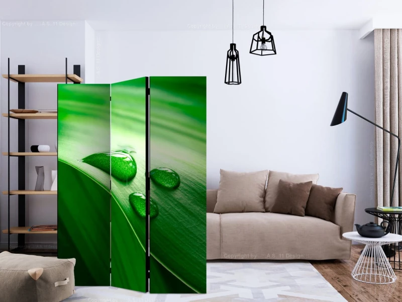 Parawan 3-częściowy - Liść i trzy krople wody [Room Dividers]